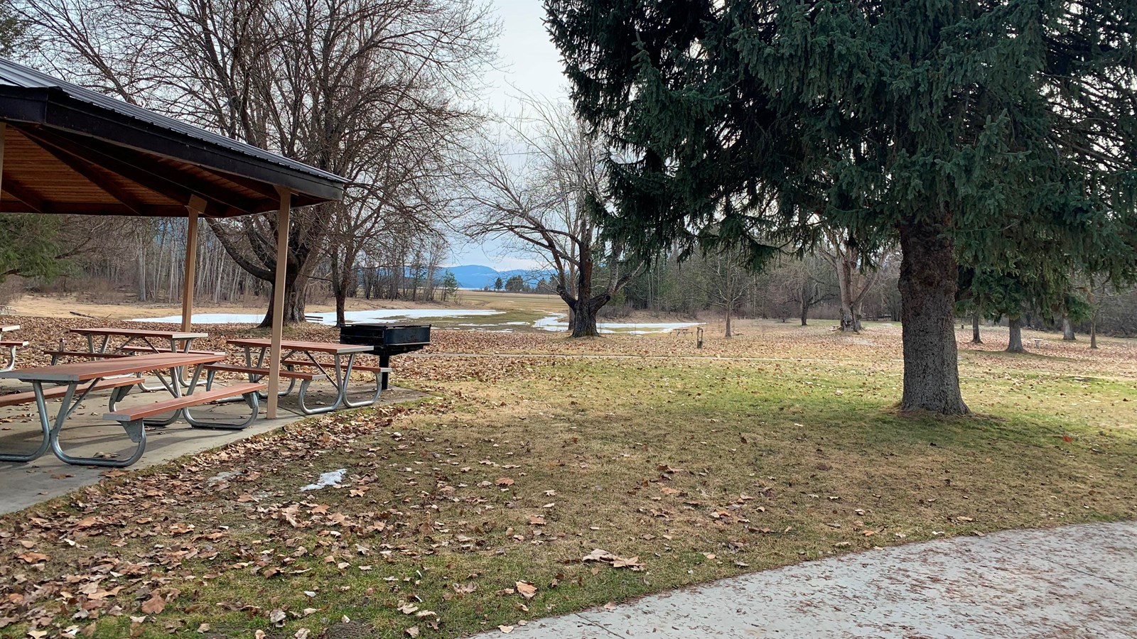 A winter view of picnic tables, gazebo, grassy lawn, and trees.
