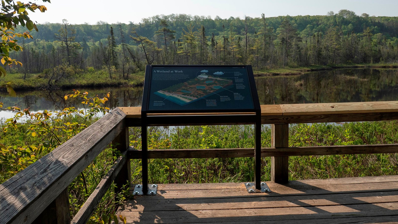 An interpretive exhibit mounted on a wooden boardwalk overlooking a pond in a wetland.