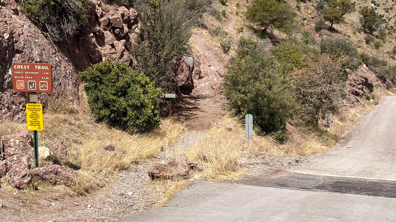 Dirt trail ascending the side of a hill next to a road.