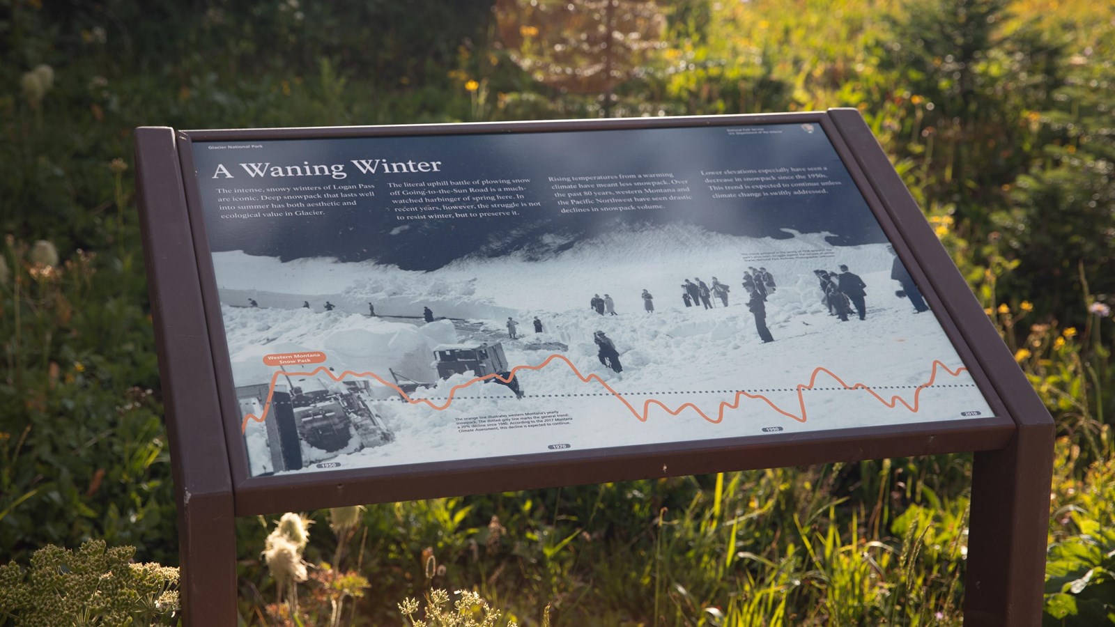 Colorful image of a wayside exhibit called A Waning Winter with plants behind.