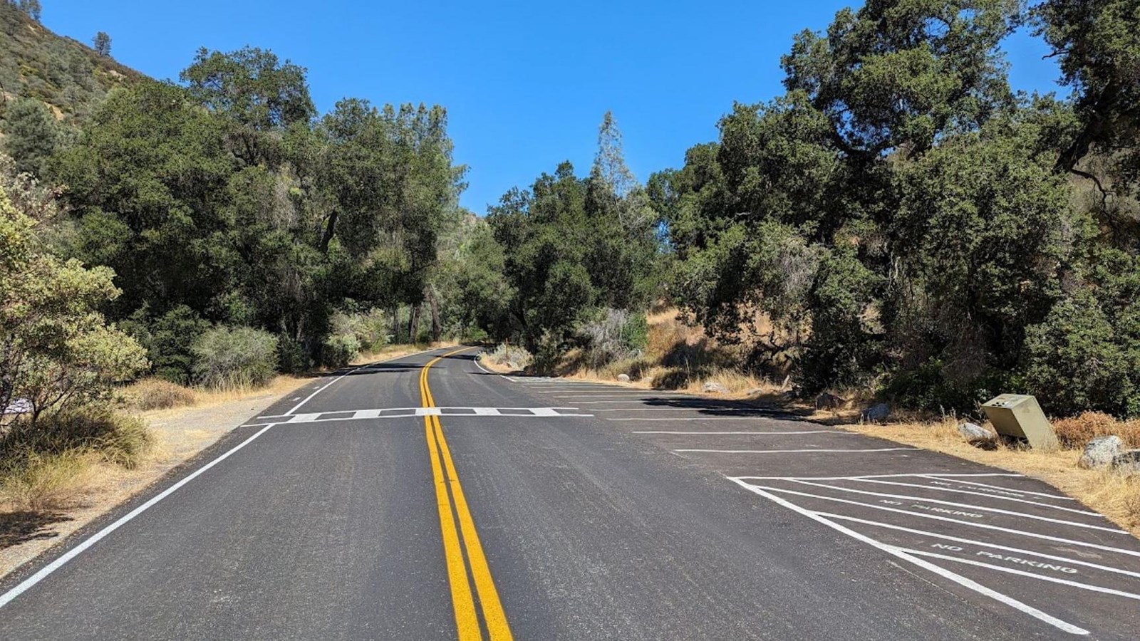 Newly paved road leading with small parking spaces located off the shoulder in dense vegetation