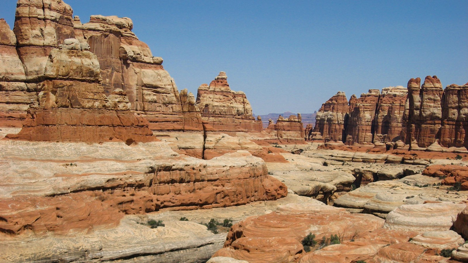 Multicolored sandstone spires spring up from a canyon