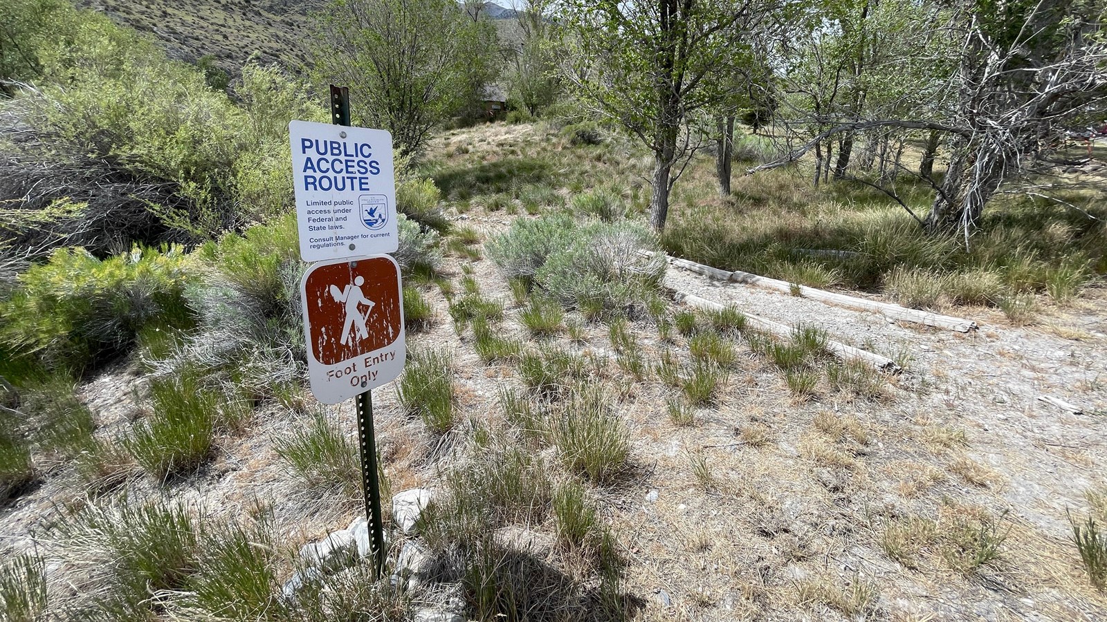 Two signs on a single steel fence post stand in front of an unpaved trail that leads into a grove.