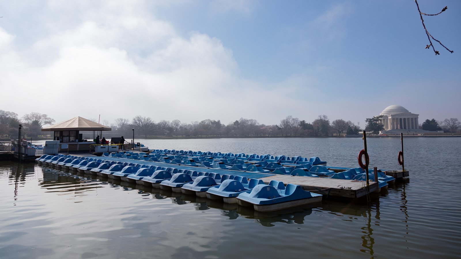 Blue pedal boats sit in a body of water with the Jefferson Memorial in the distance. 