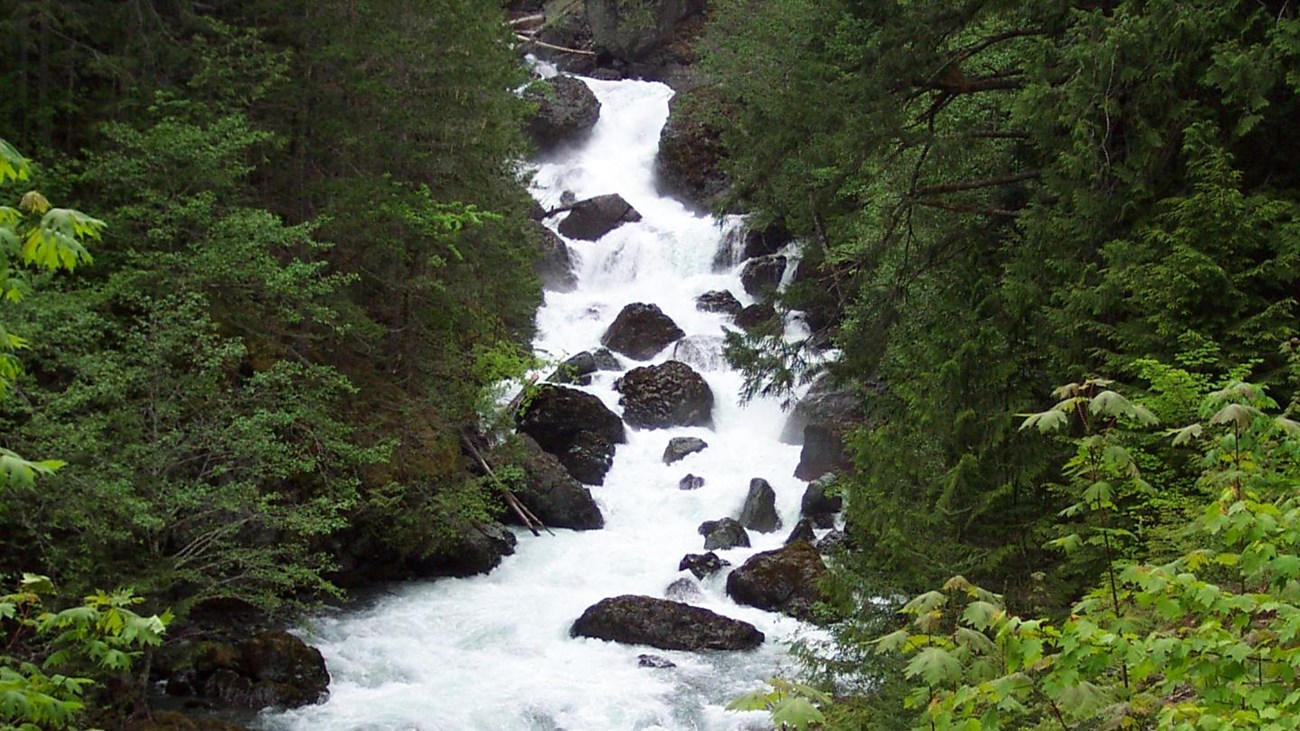 A rushing river tumbles over boulders.