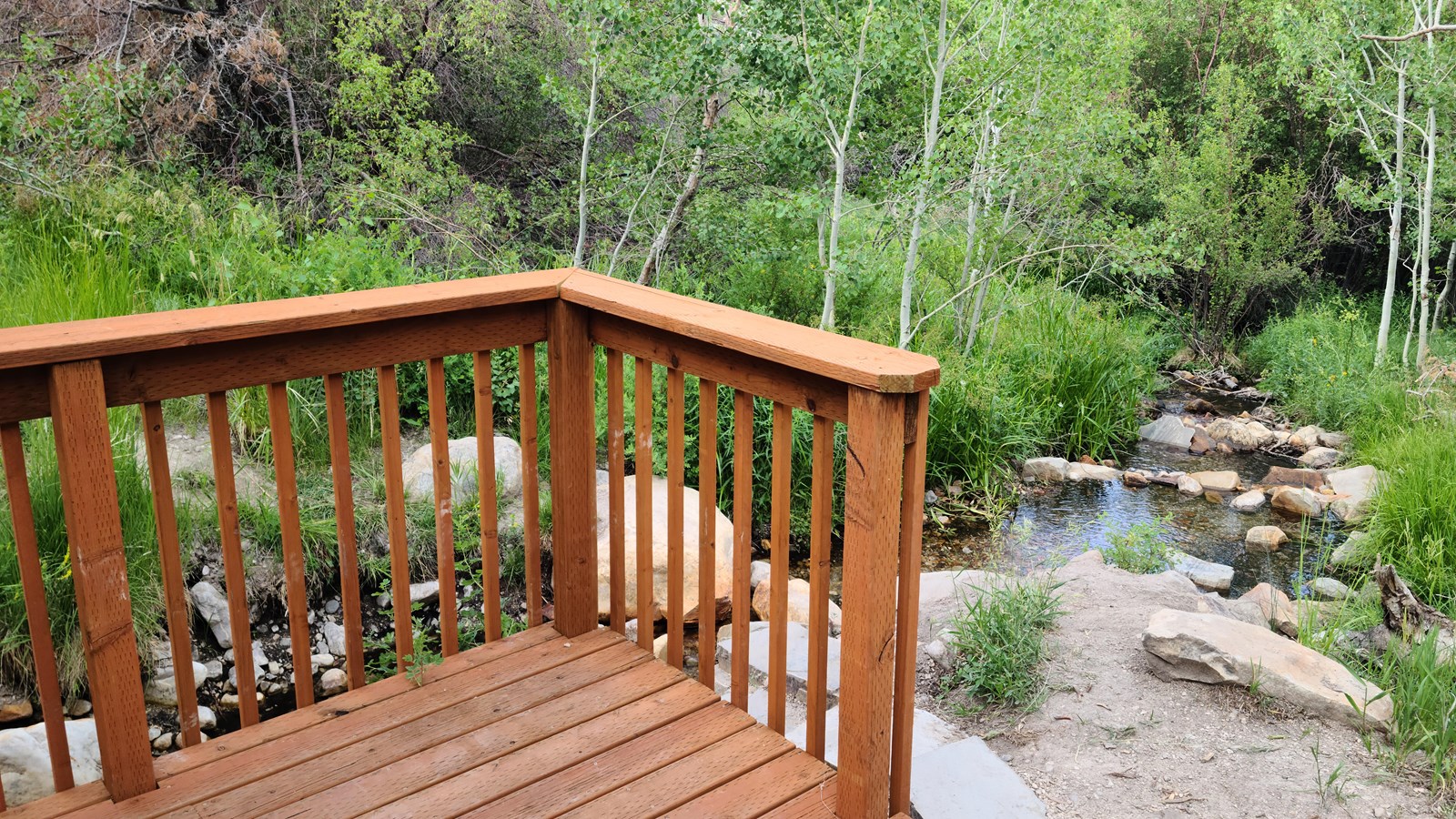 Wooden dock in front of a flowing, rocky creek flanked by green, lush banks of grass and aspens