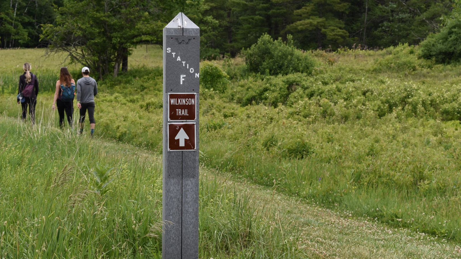 Gray post marker, 