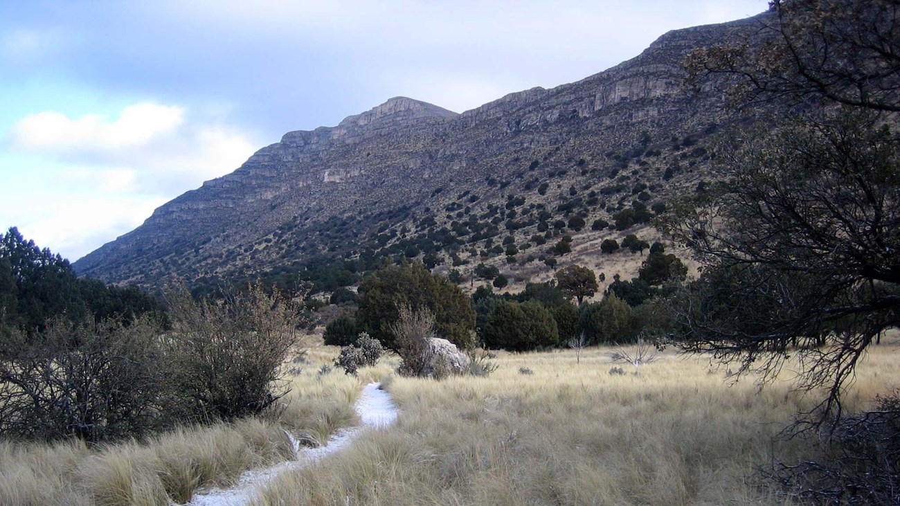 A gravel trail cuts through a grassy meadow with a tall desert mountain cliff rising behind.