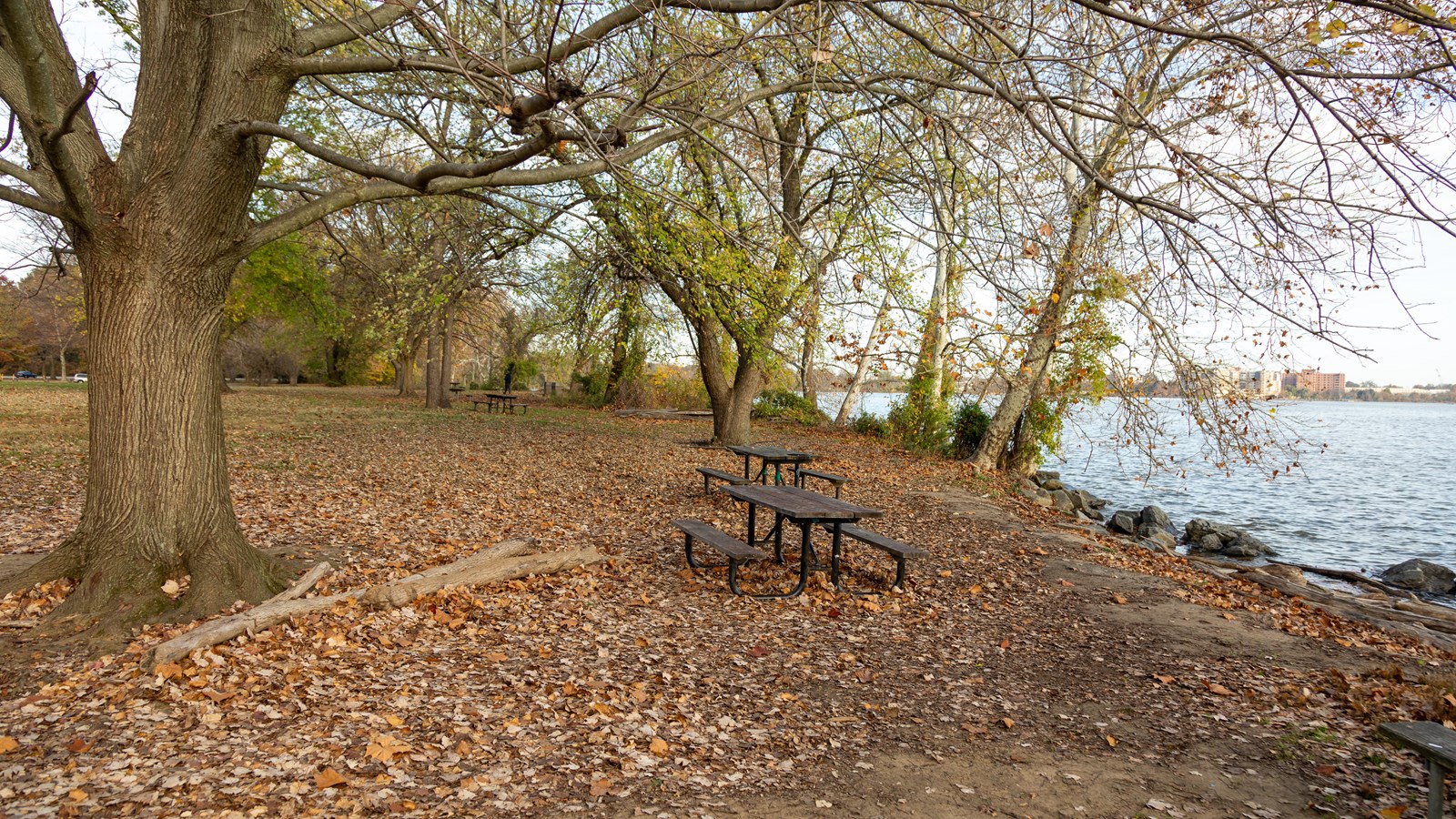 A picnic table is in front of a marina with rocks near the water\'s edge, slight decline to water.