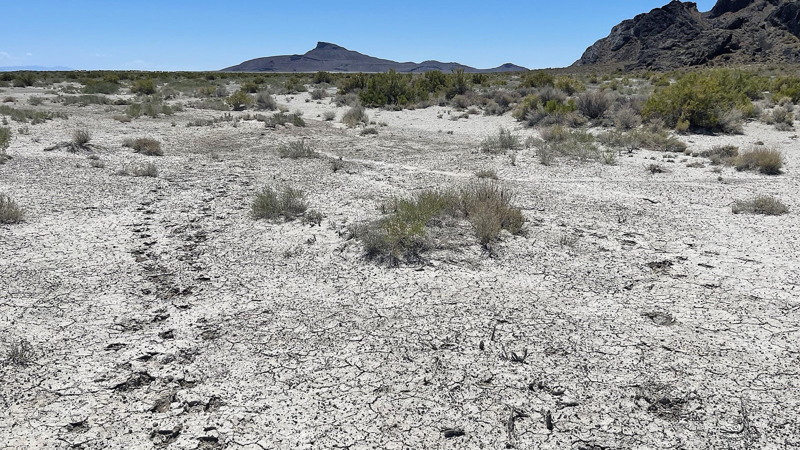 Gray desert with shrubs, footprints, and in the distance, Floating Island all under blue sky.