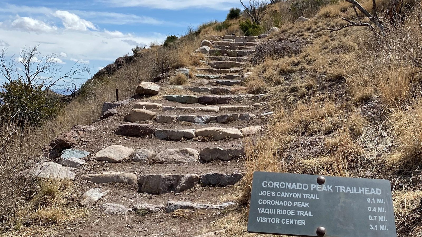 Stone steps ascending a hill.