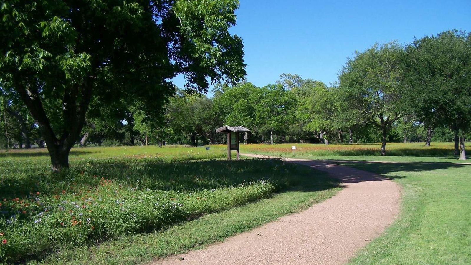 A gravel path winds through a grassy field dotted with wildflowers and trees.