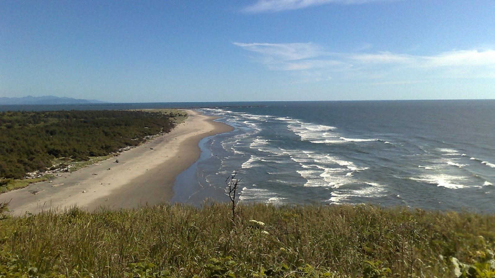 A view of the seashore from atop a grassy bluff, waves crashing against the shore below