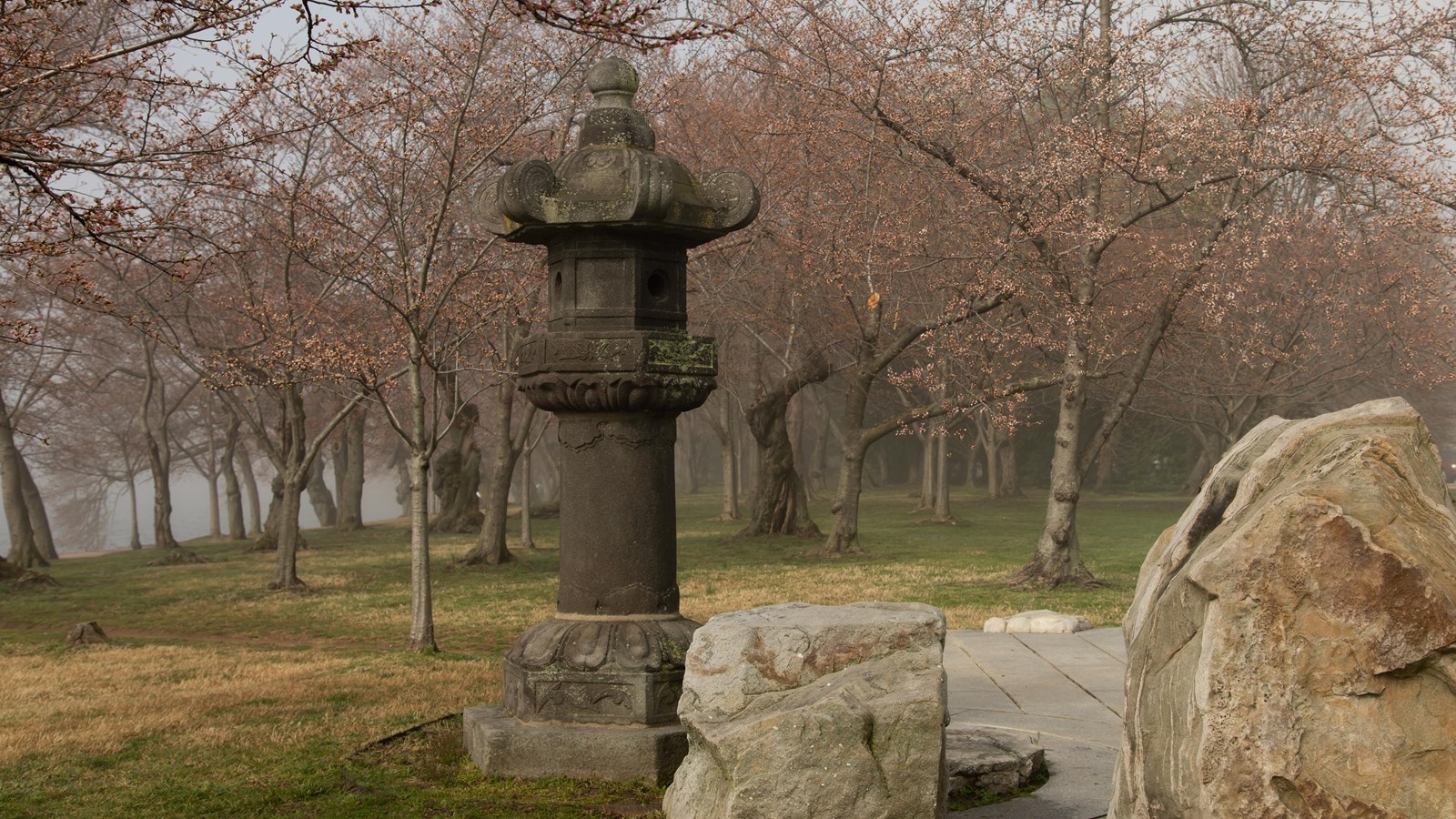 A tall stone lantern surrounded by cherry blossom trees and fog. 