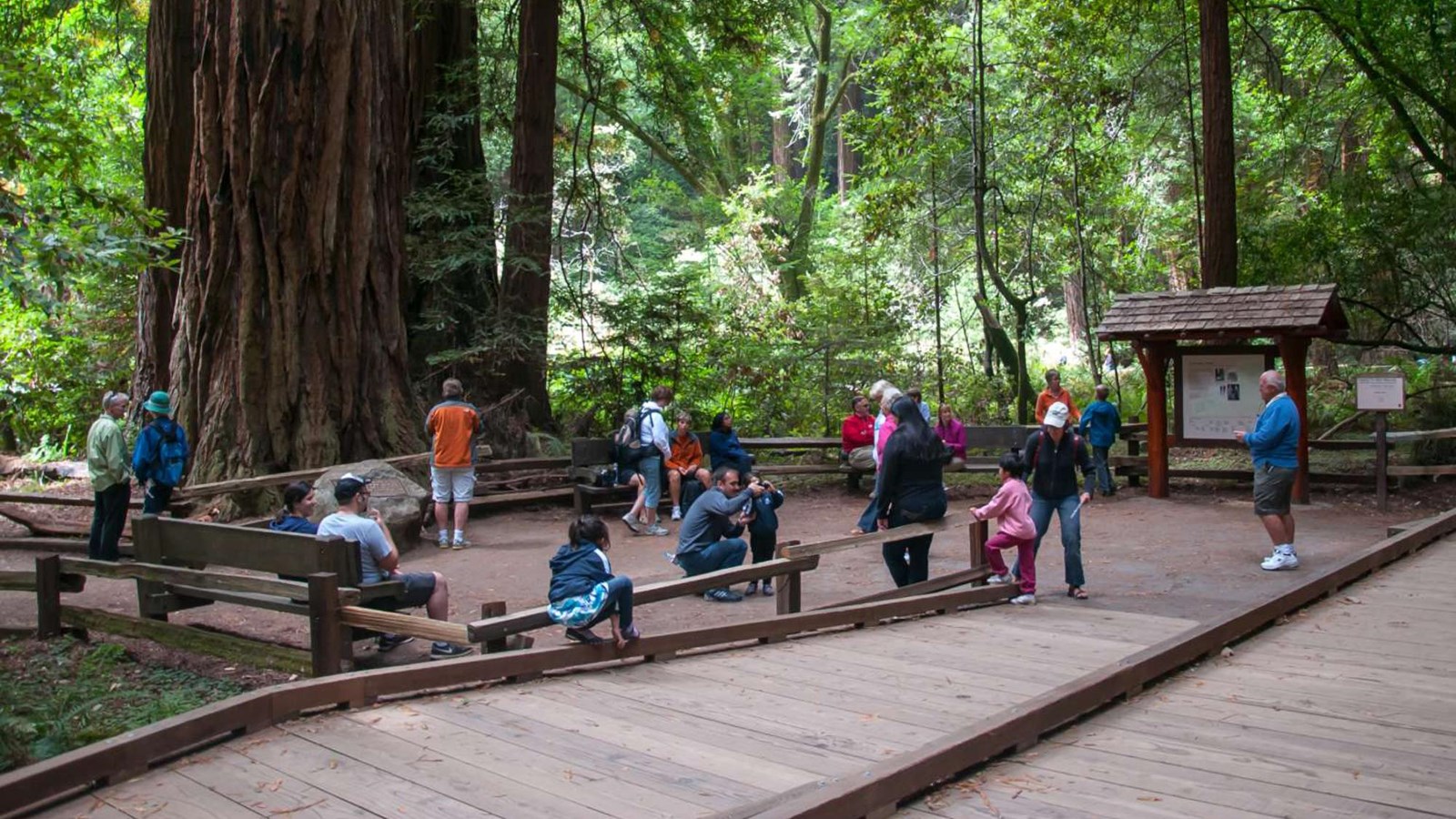 Visitors gather at Founders Grove for a ranger program.