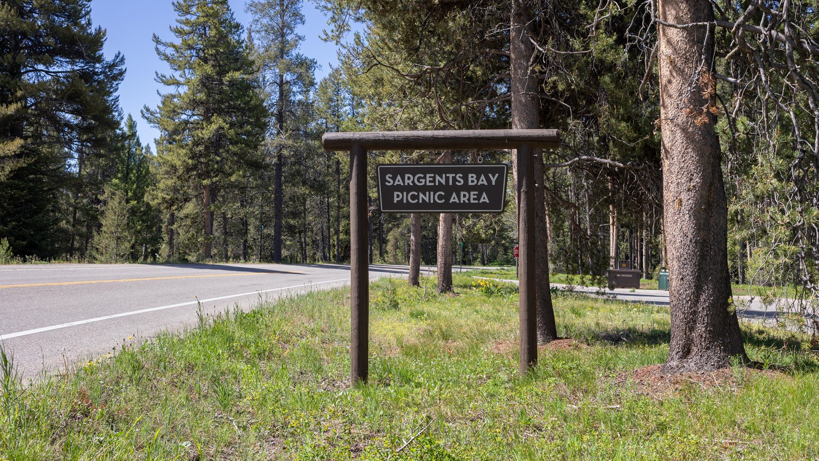 Picnic area sign next to park road.