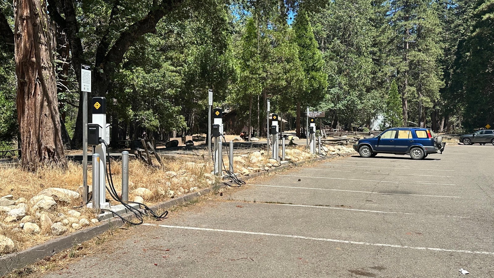 A parking lot lined with electric vehicle charging ports