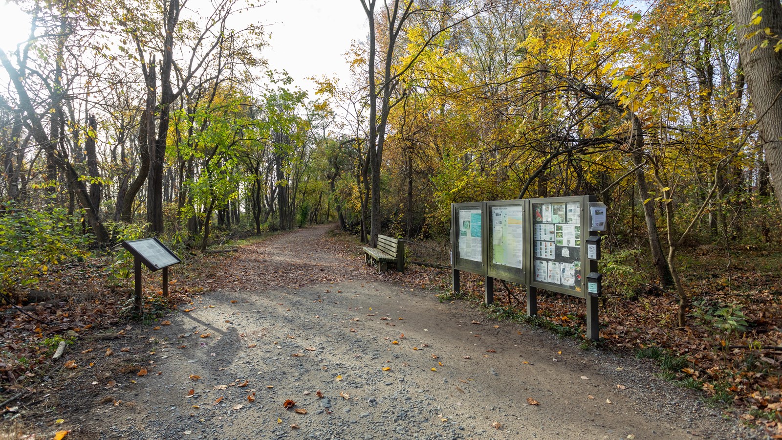 A wide, dirt path leads to information panels, a bench, and a trail. Trees surround on either side.