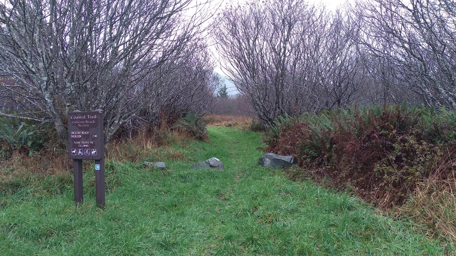 A grassy trail between thick trees with a wood sign reading Coastal Trail Crescent Beach Section