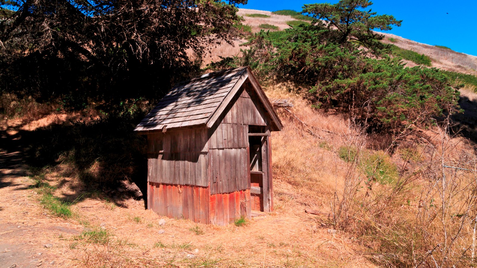 old wooden outhouse surrounded by trees and grass with pitched roof. 