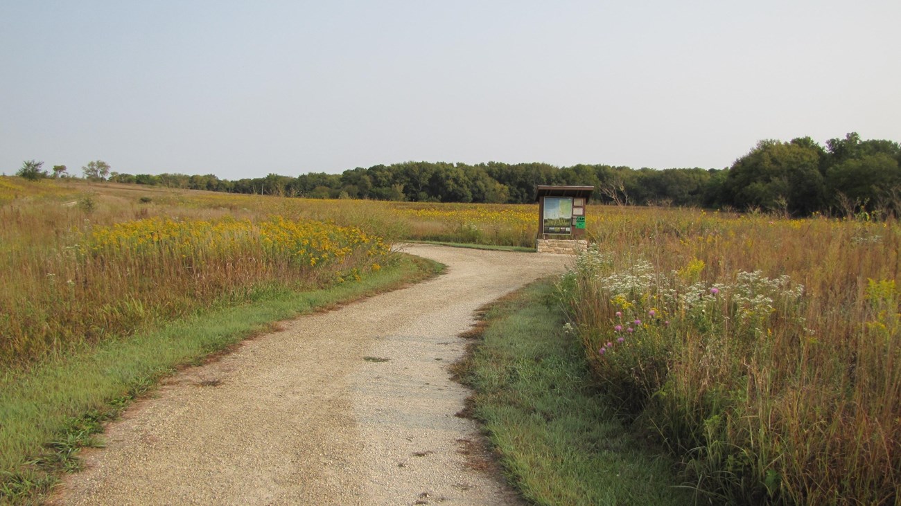 A kiosk stands next to a white gravel trail through tall grasses and flowers.