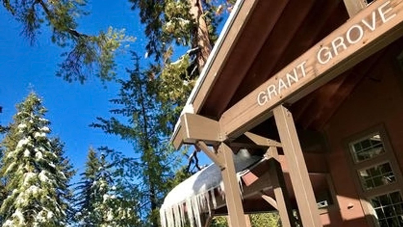 Icicles form on the wooden roof of the Grant Grove visitor center.