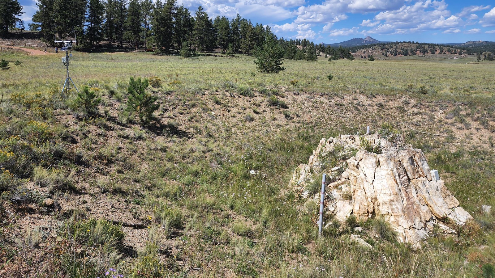 A petrified tree stump alongside a weather station