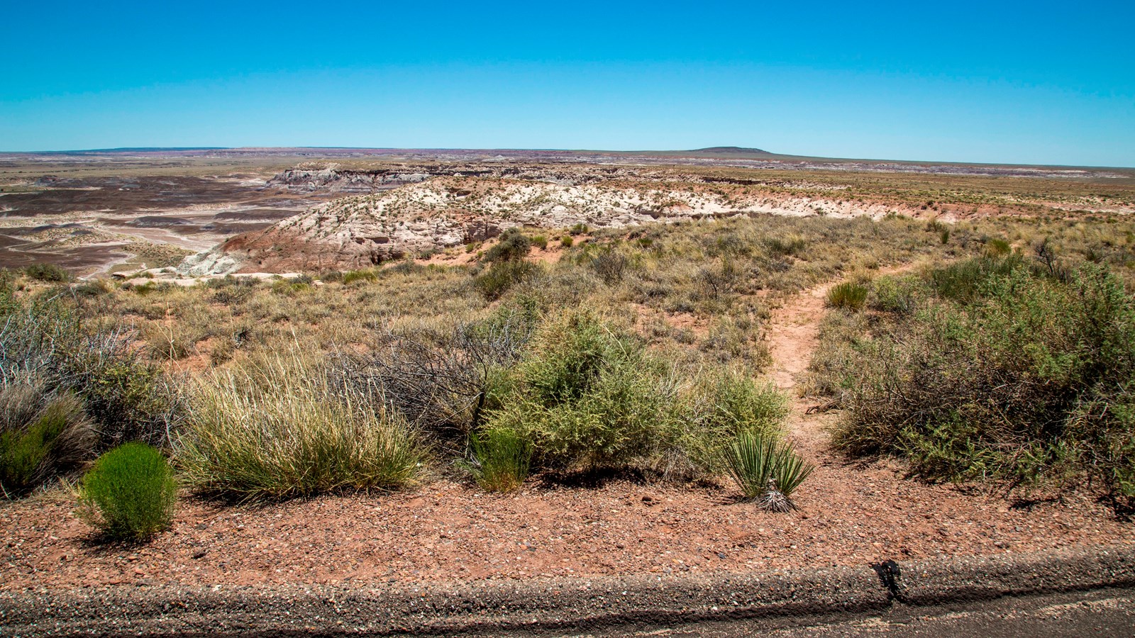 View along the escarpment of the mesa with a narrow dirt trail heading off through the shrubs