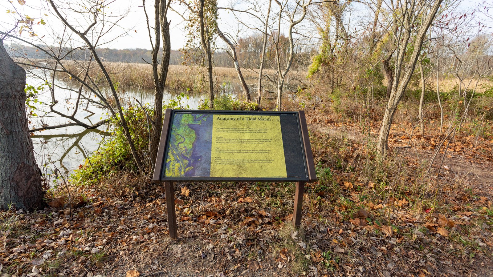 An ariel photo of the marsh is pictured on the left side of the panel. Braille is on the right.