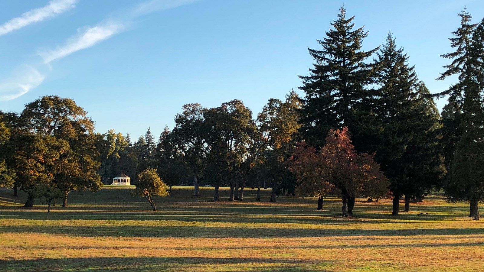 A grassy field with trees; a white bandstand is located in the distance.