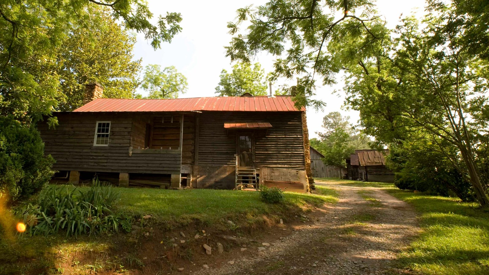 Driveway leading past the Hyde Farm cabin.