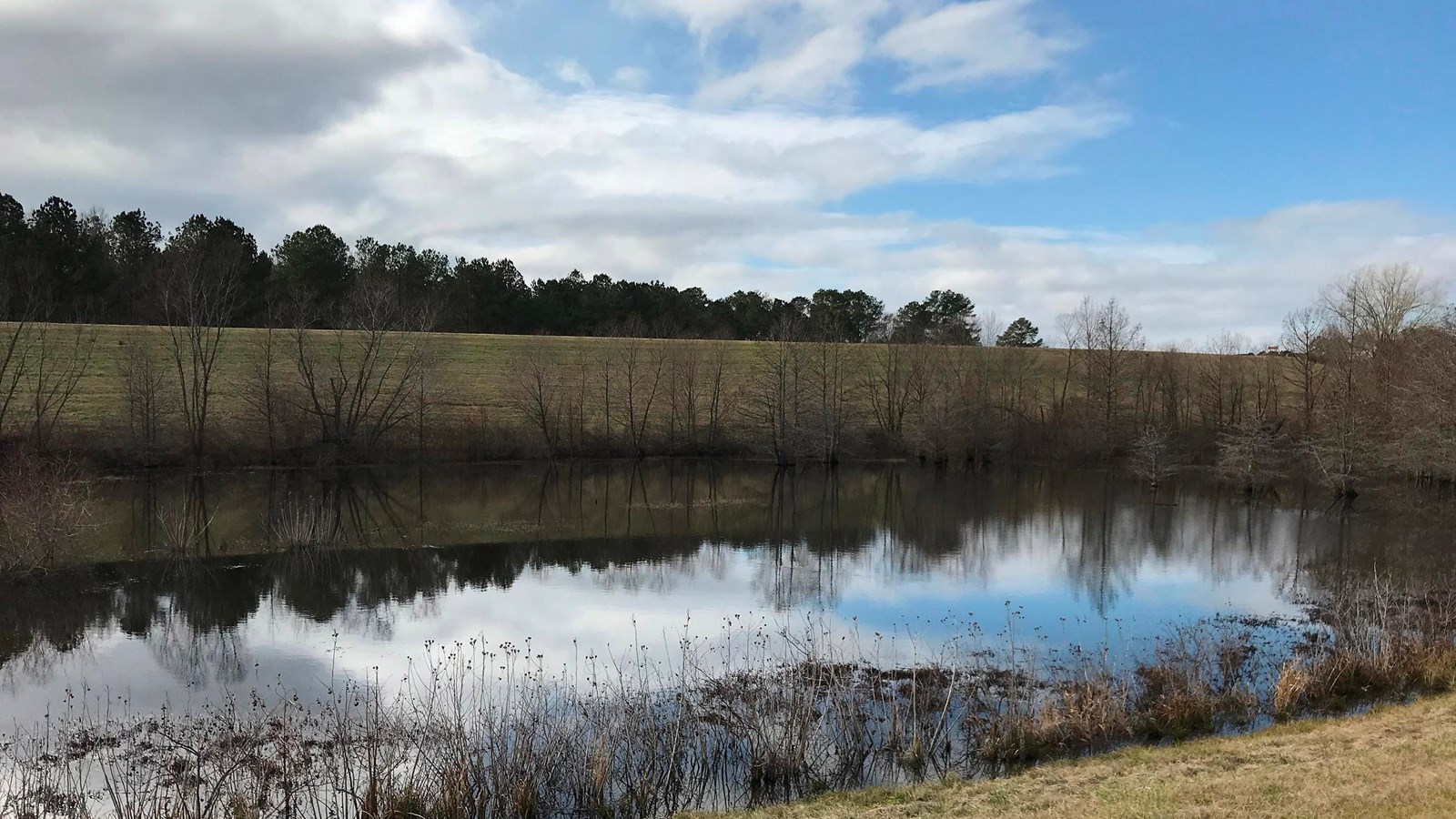 A pond with grassy foreground and trees on the other side. The sky is reflected in the pond.