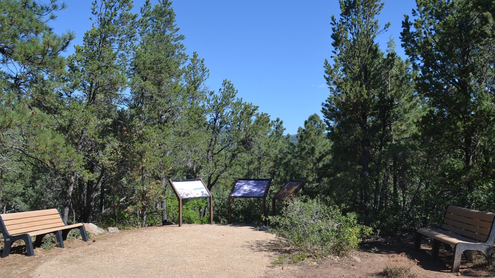 sky, trees, benches, displays
