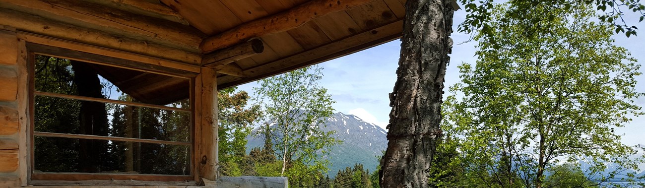 A wooden bench sits on the front porch of a cabin