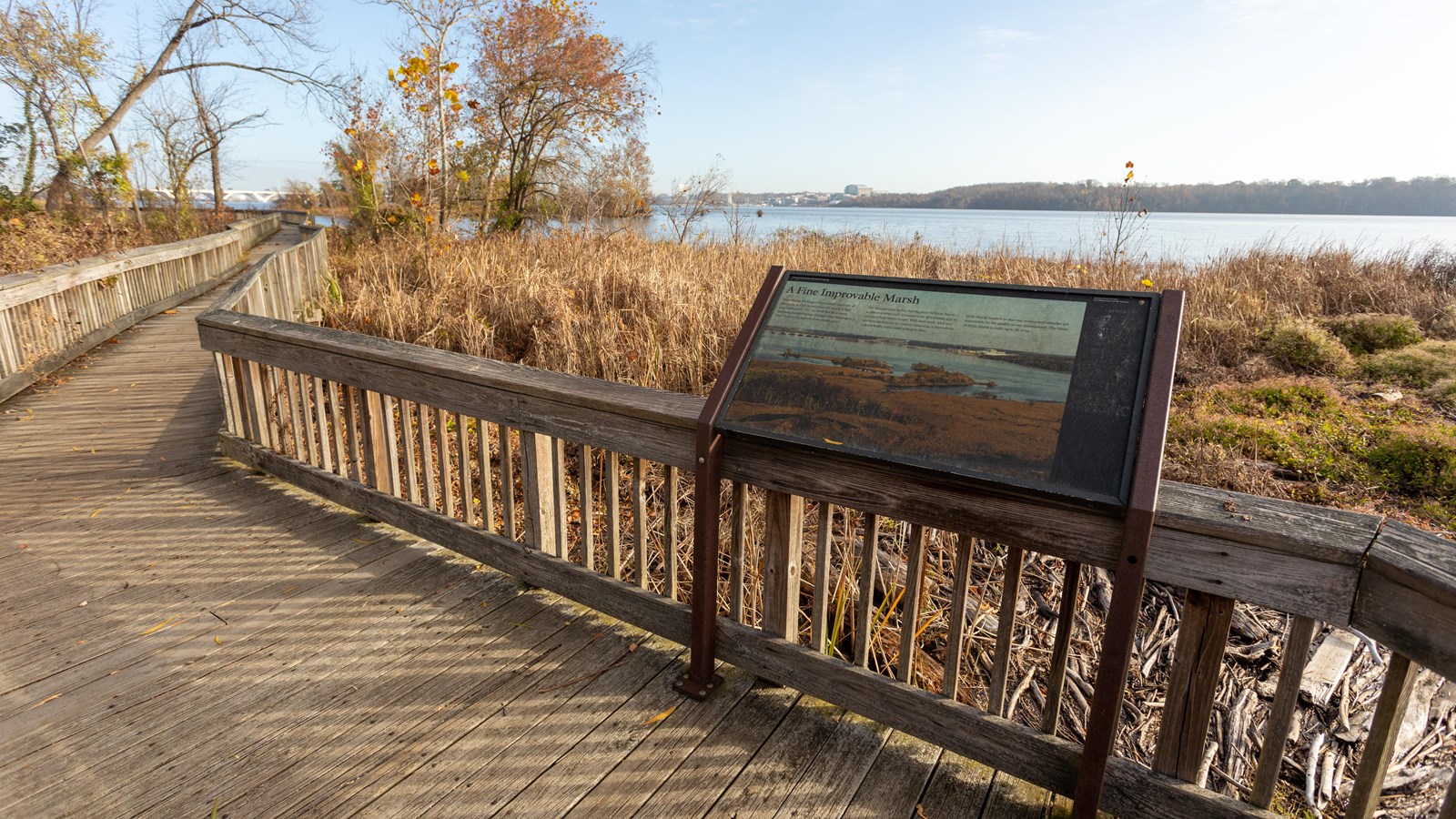 A photograph of the marsh is pictured on the panel. Tall trees are seen toward the forefront.