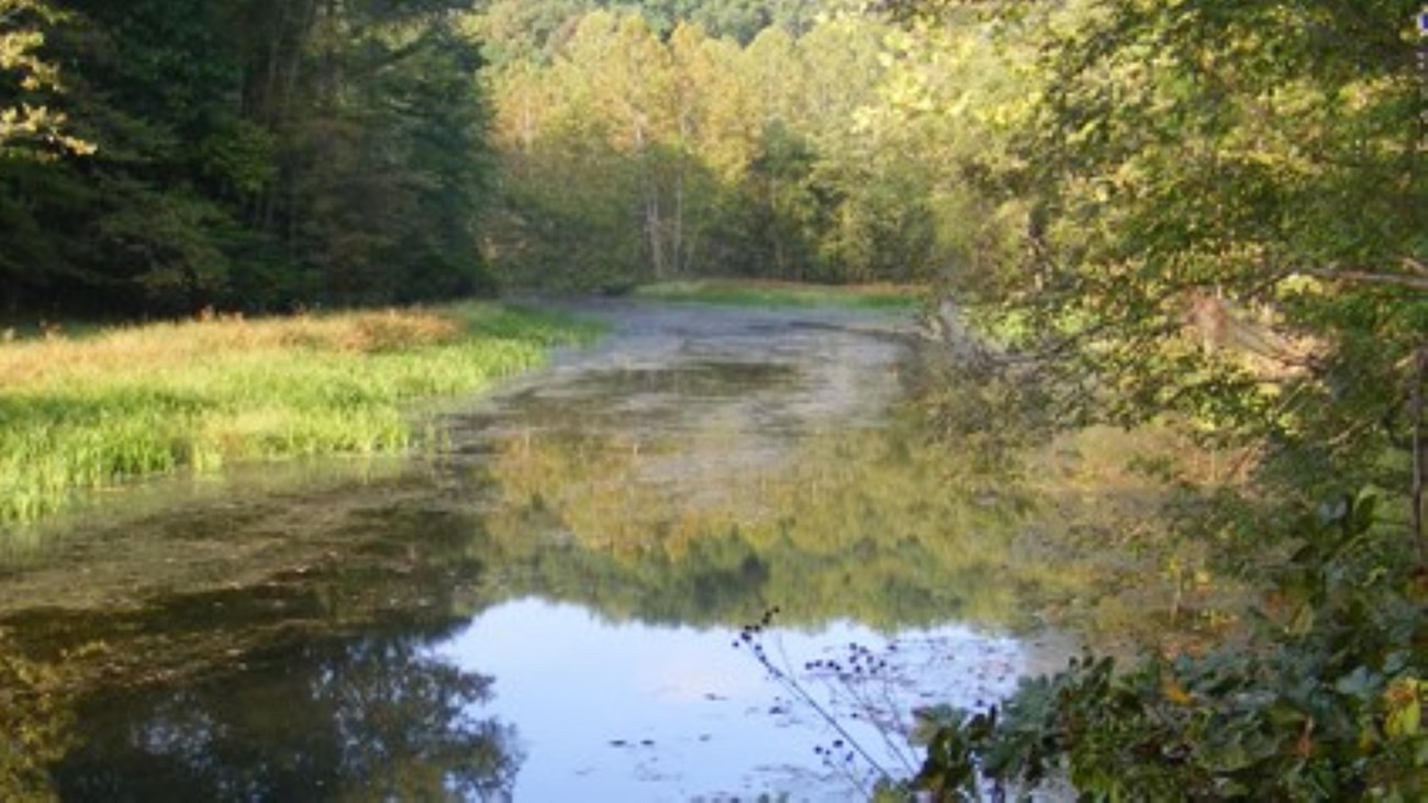 Chopawamsic Backcountry Area
