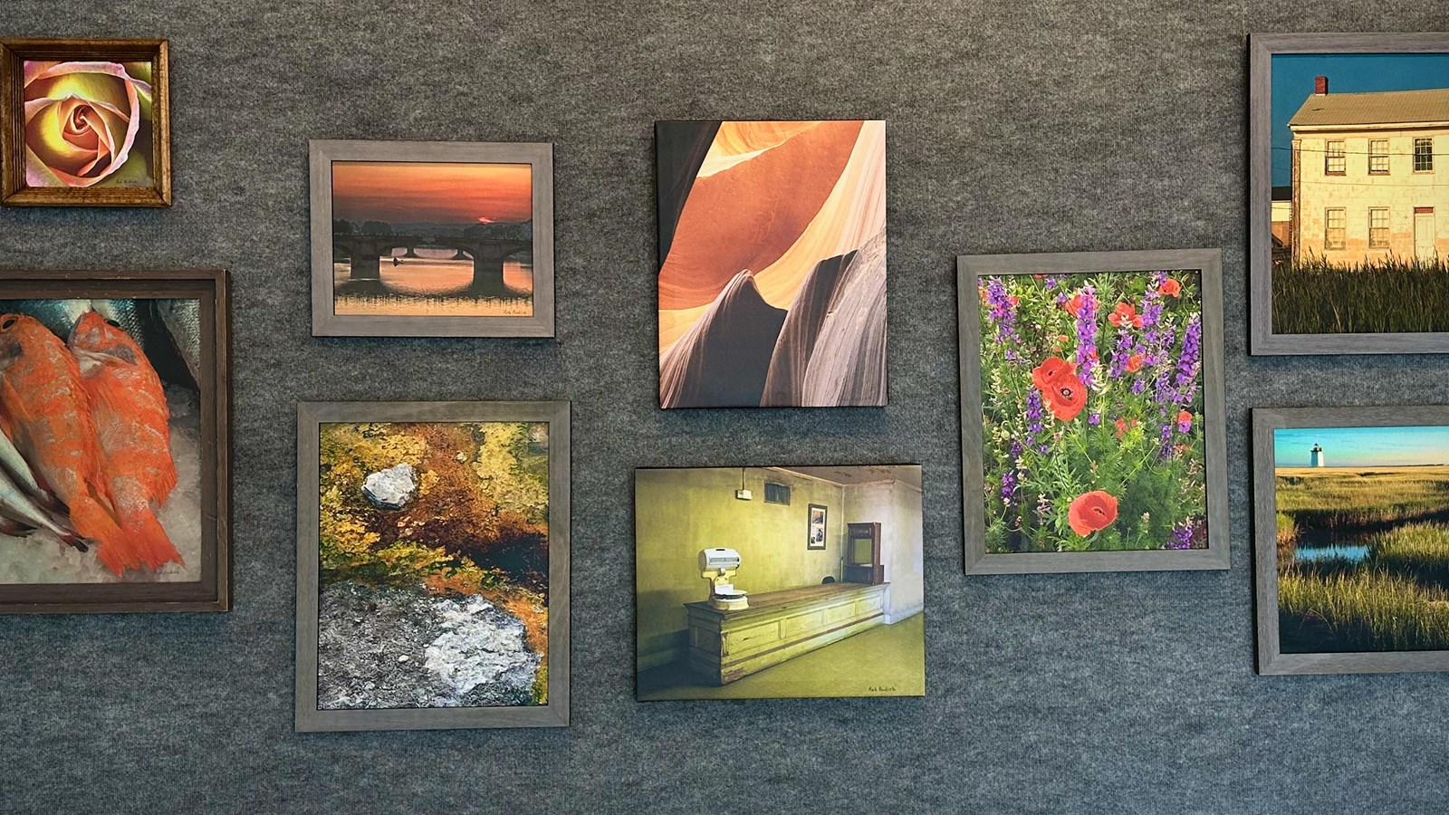 Nine framed photos on wall: rose, fish, sunset, lichen, rocks, building, flowers, lobby, lighthouse