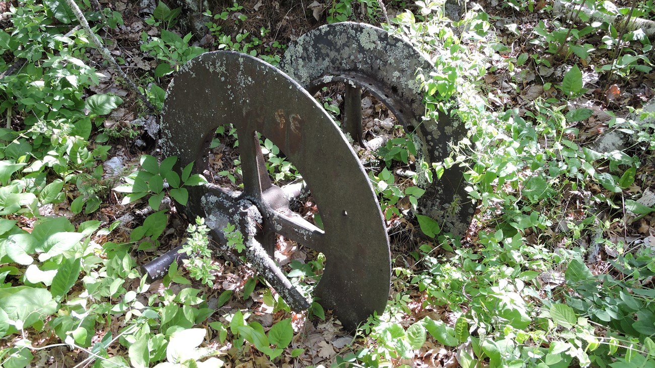 A lichen covered rusting wheel from the mining era lies in the brush on Little America Island