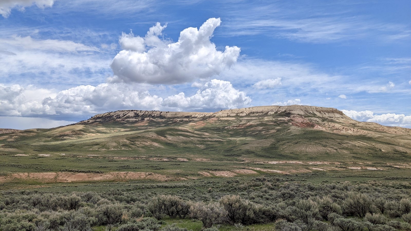 Fossil Butte with blue sky and fluffy white clouds above. There is sagebrush in the foreground.