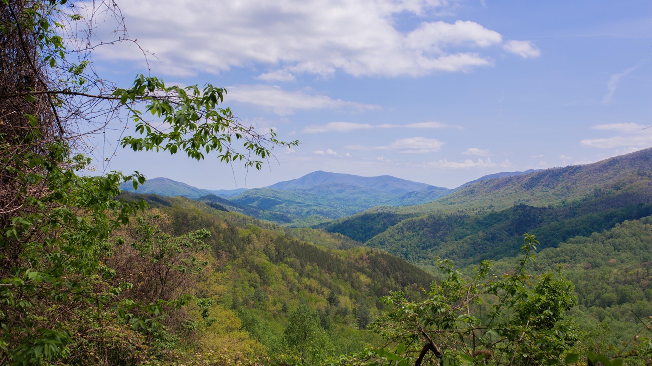 View of mountain ridges with green vegetation in the foreground