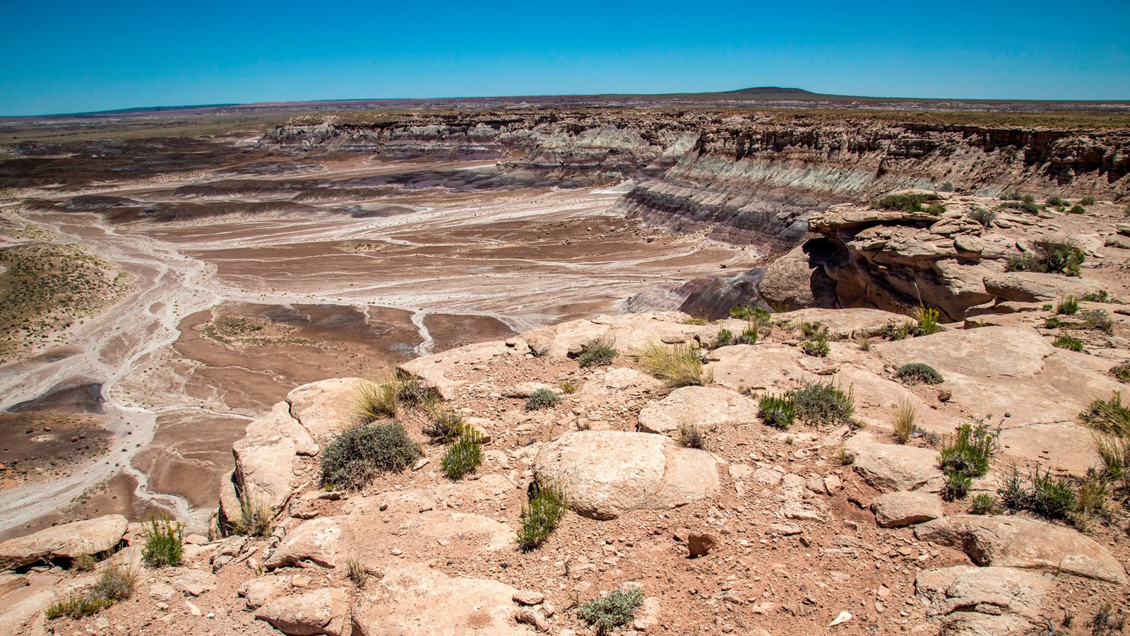 View along the north facing eastern portion of the Blue Mesa escarpment.