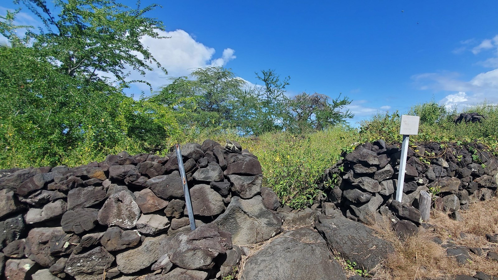 A stacked stone wall with an opening in the middle leads to an overgrown enclosure