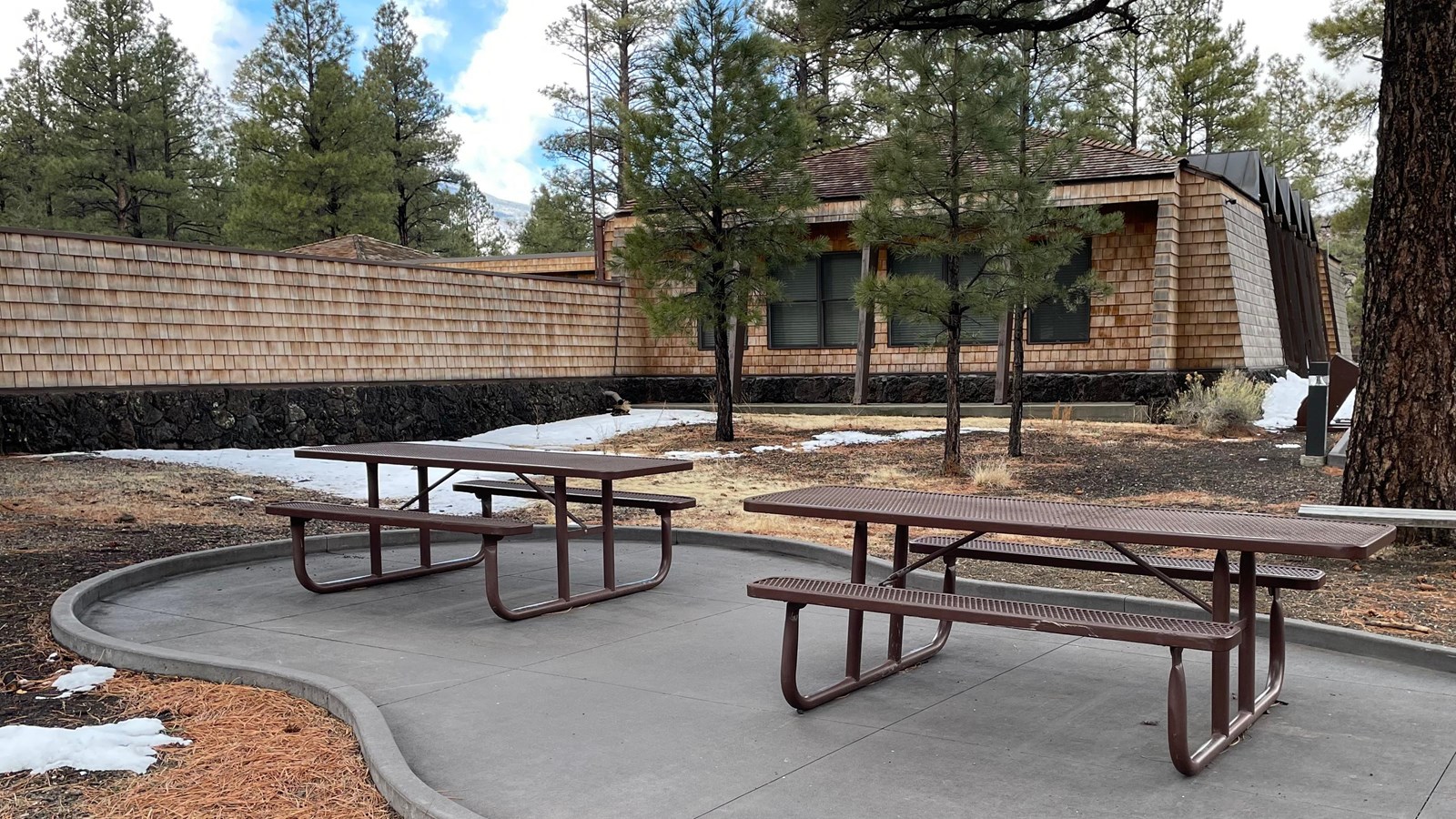 Two metal picnic tables on a concrete slab surrounded by large pines trees and a visitor center.