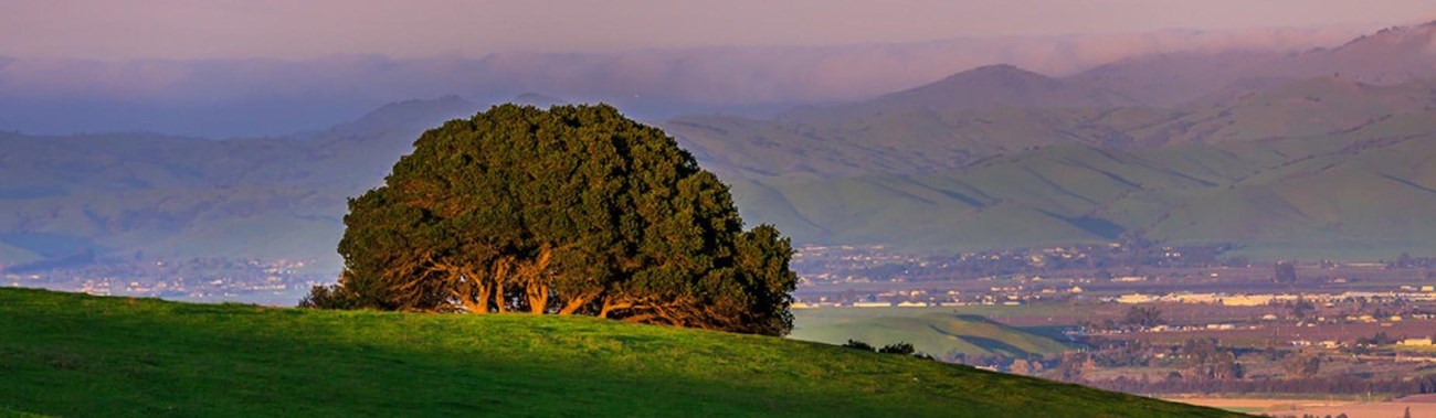 Green hill with a landscape view 