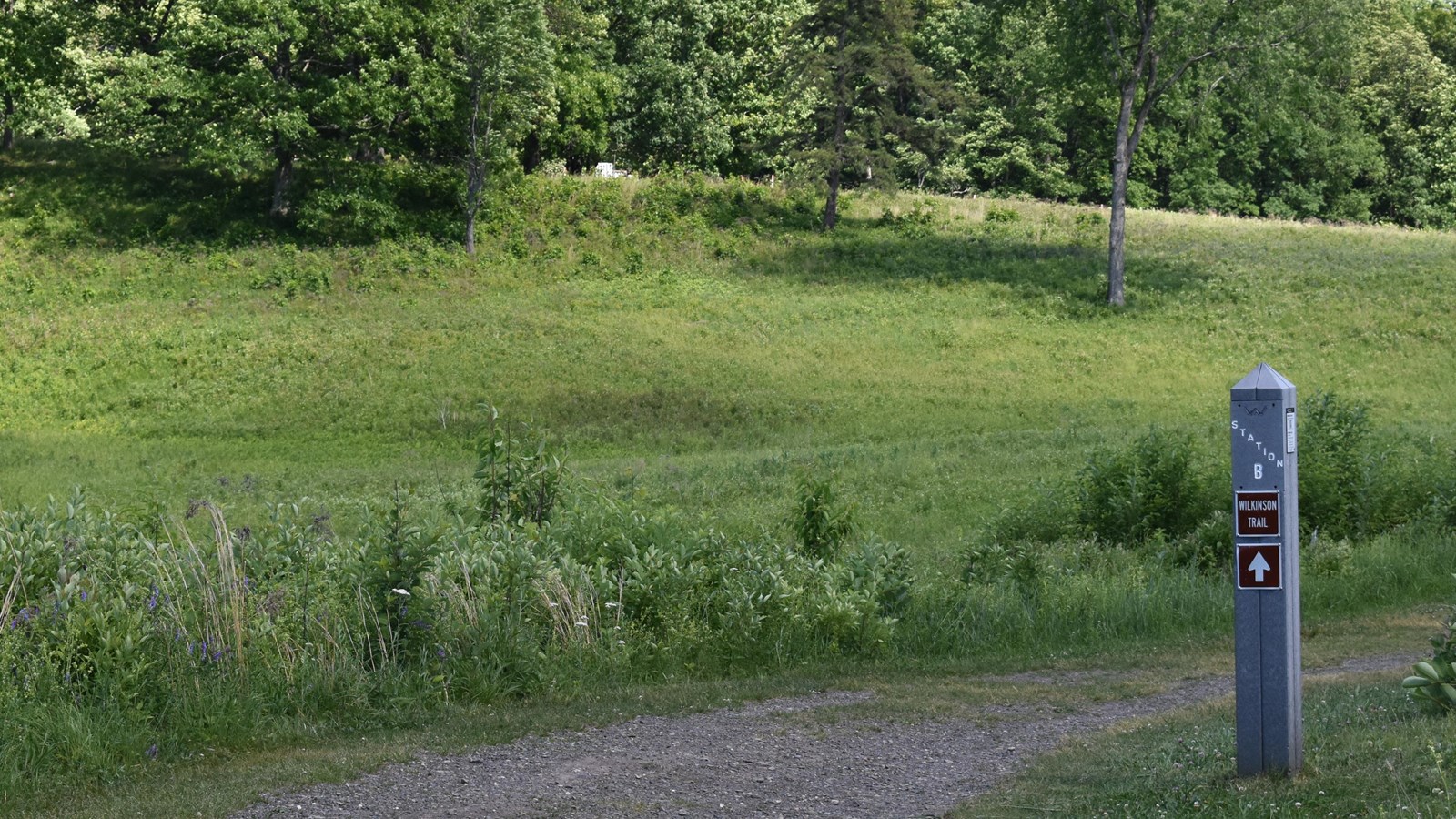 A grass covered path surrounded by an open field with a gray marker post on the right.