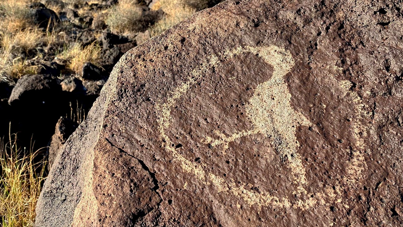 A petroglyph of a bird on a dark volcanic boulder.