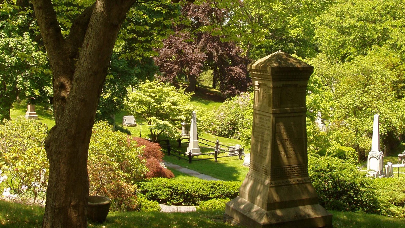 Cemetery with headstones. 