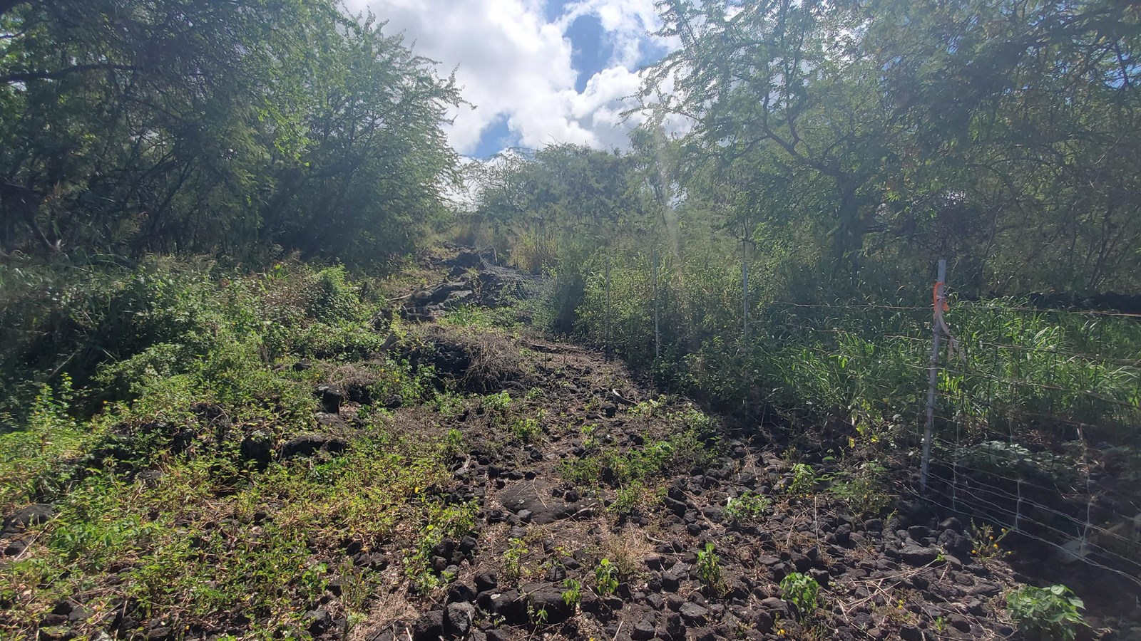 An old trail is visible going up the mountainside along the fenceline.
