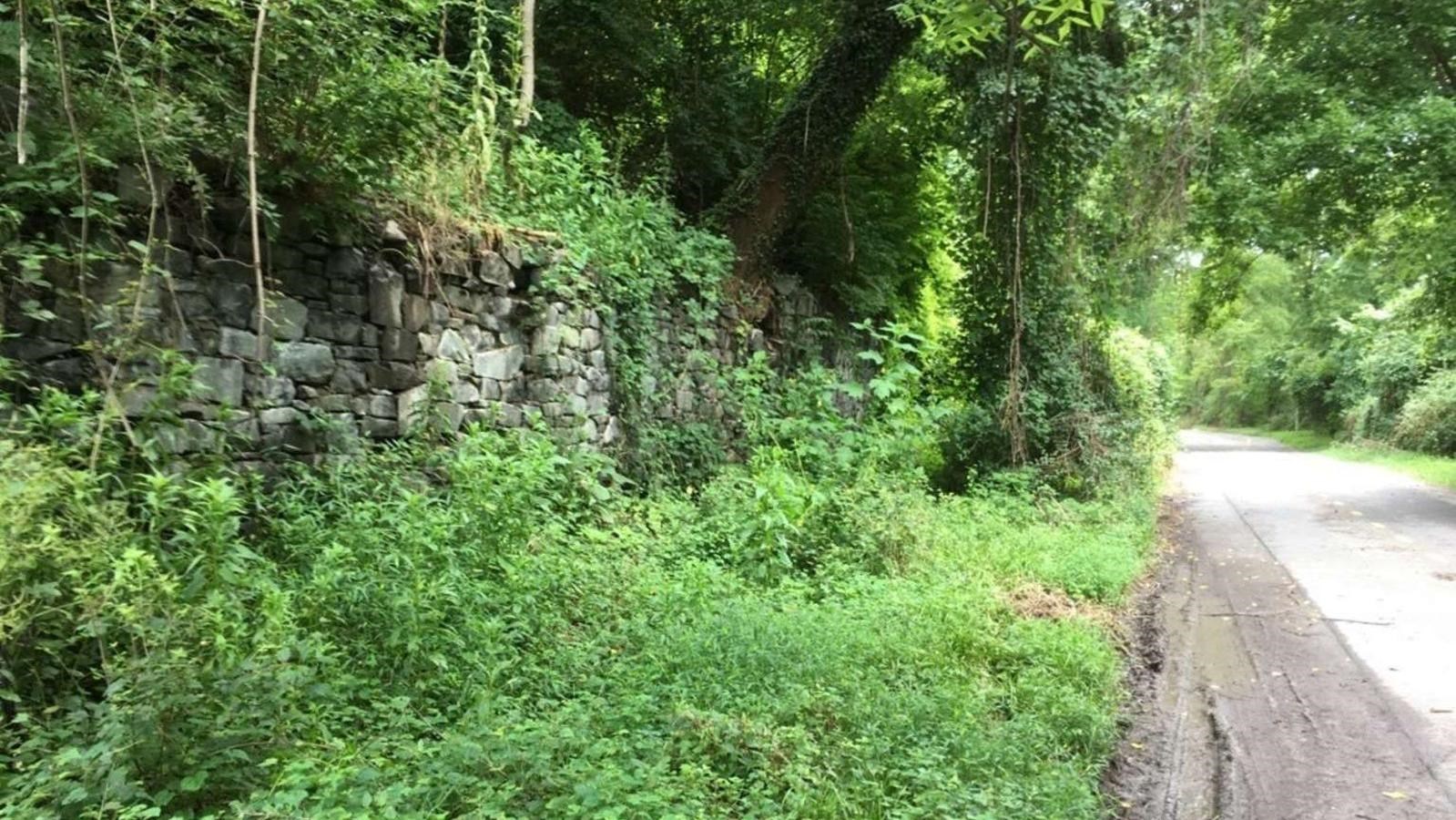 Brick ruins, covered in plants sits next to the C&O Canal.