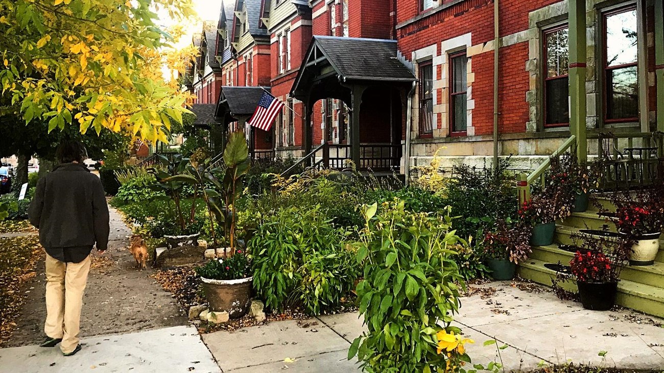 A visitor and his dog on a Pullman street with rowhomes on the right of the frame